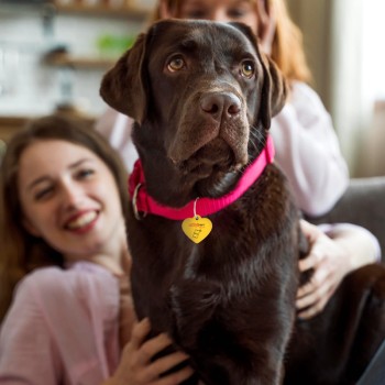 Joia Pet Care Coração com NFC por aproximação via APP